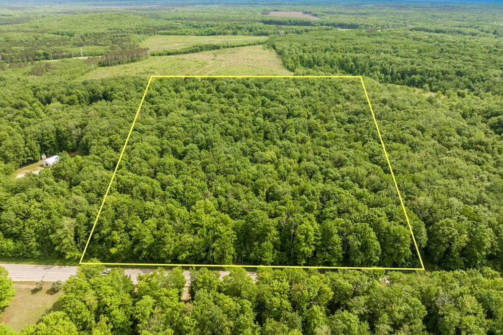 Mancelona Road Mancelona Township, MI 49659