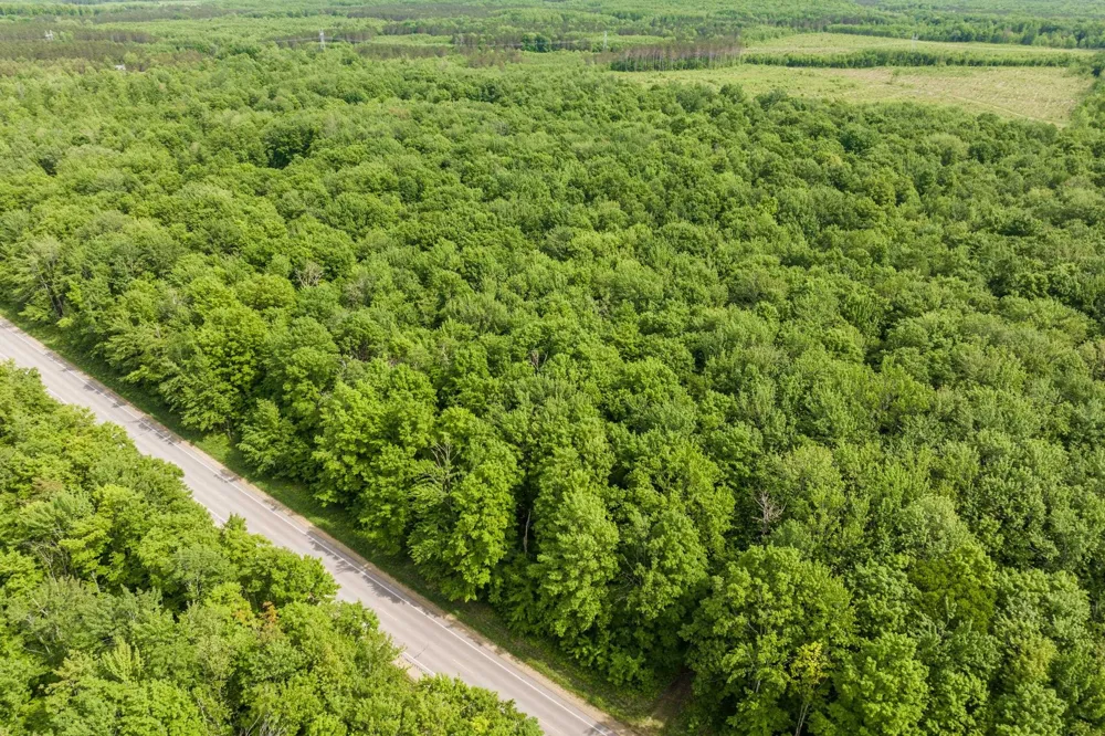 Mancelona Road Mancelona Township, MI 49659