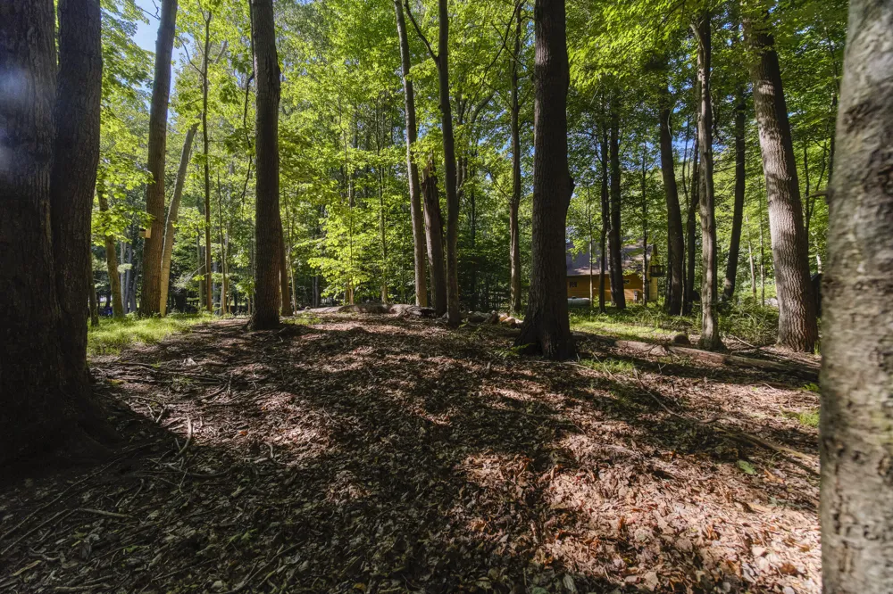 10826 Old Freesoil Road Grant Township, MI 49660