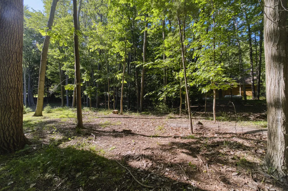 10826 Old Freesoil Road Grant Township, MI 49660