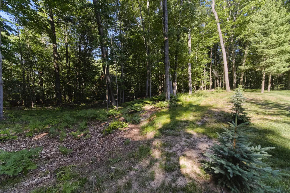10826 Old Freesoil Road Grant Township, MI 49660