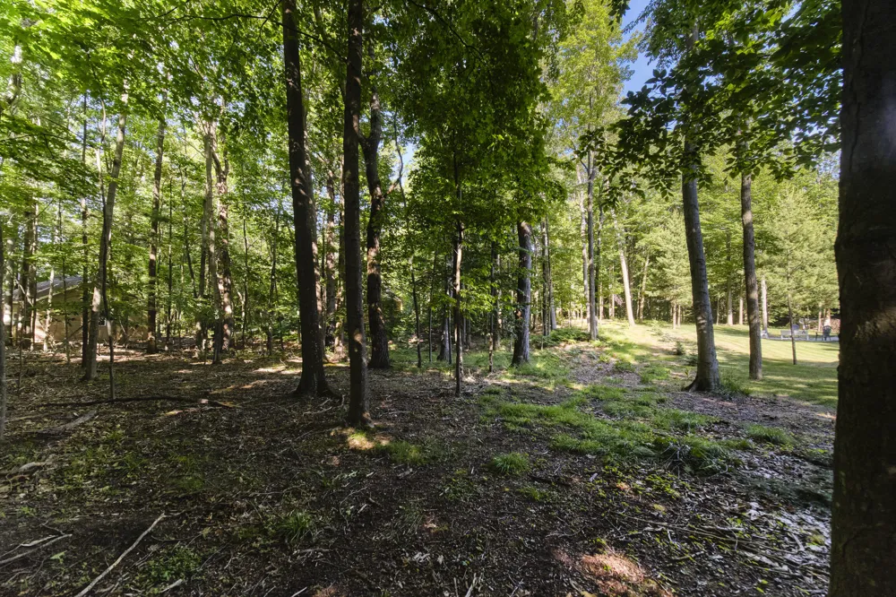 10826 Old Freesoil Road Grant Township, MI 49660