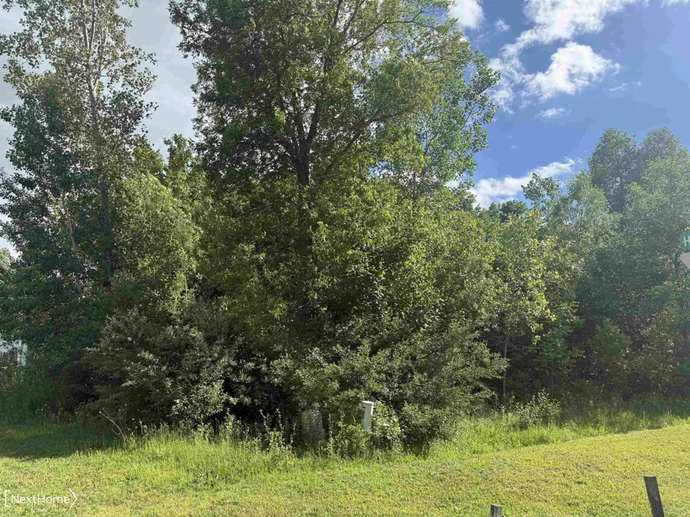 Willow Trail Grand Blanc Charter Township, MI 48439