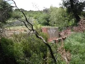 4937 Palmer Canyon