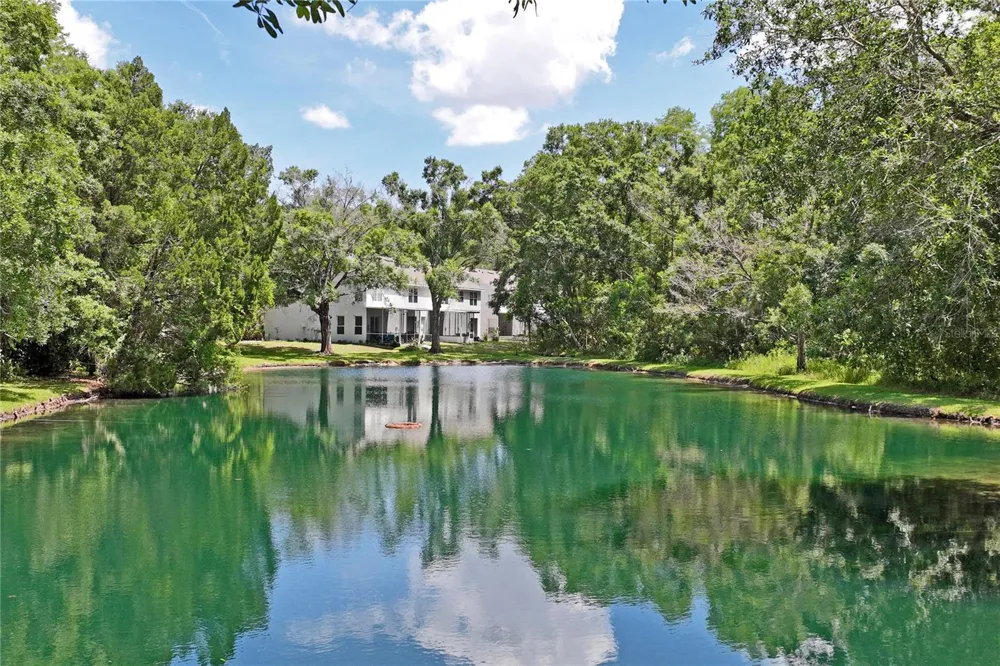 12742 WOOD TRAIL BLVD BOULEVARD Tampa, FL 33625