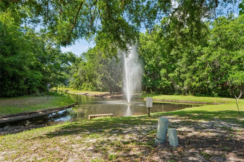 12742 WOOD TRAIL BLVD BOULEVARD Tampa, FL 33625