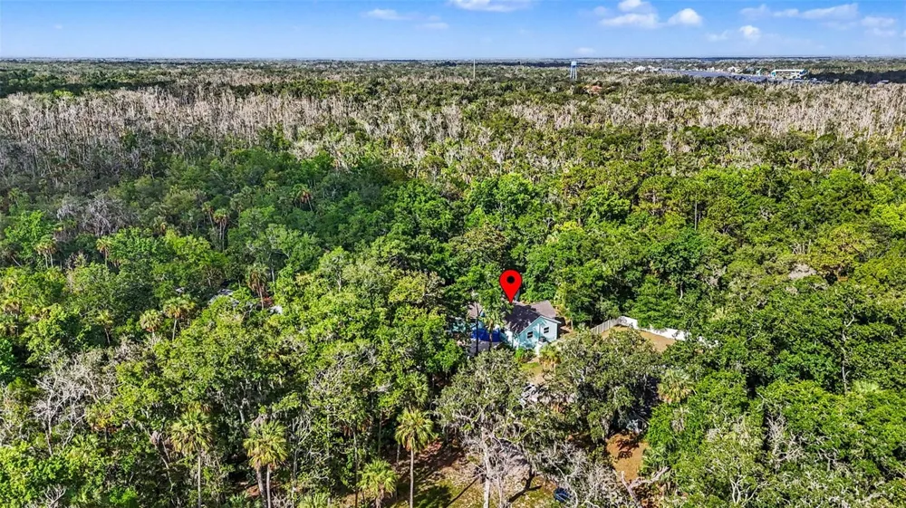 4586 S FLAMBEAU LOOP Homosassa, FL 34448