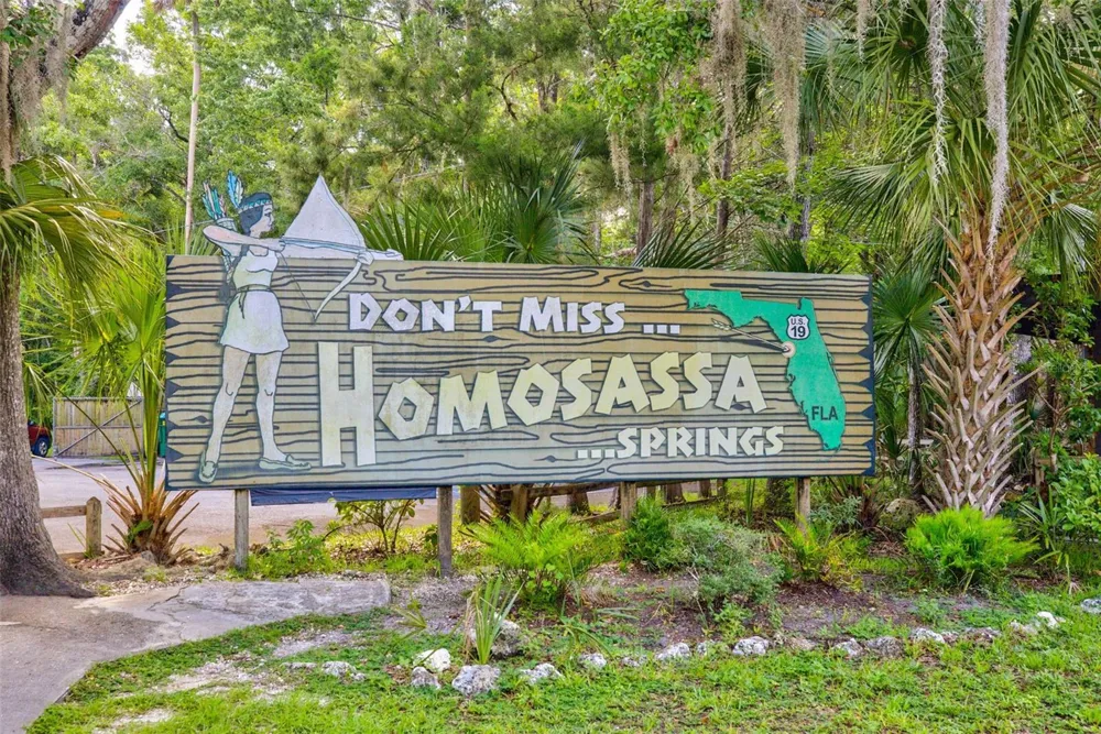 4586 S FLAMBEAU LOOP Homosassa, FL 34448