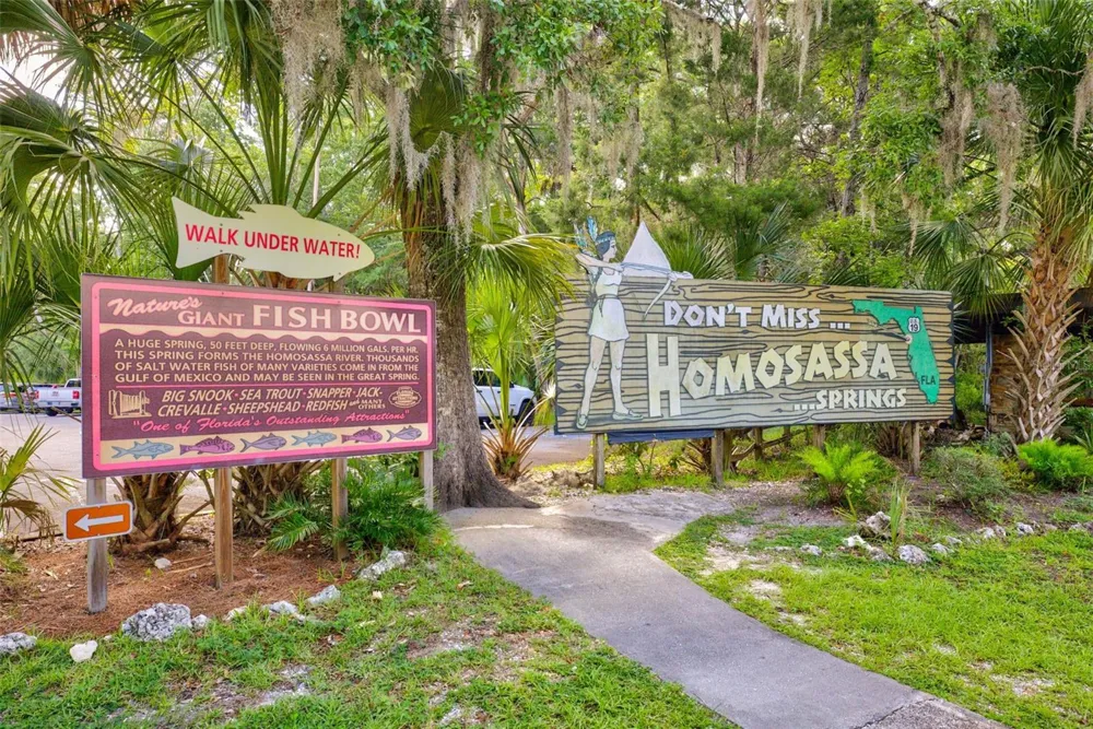 4586 S FLAMBEAU LOOP Homosassa, FL 34448