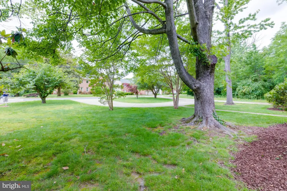 1947 ARLINGTON RIDGE ROAD Arlington, VA 22202