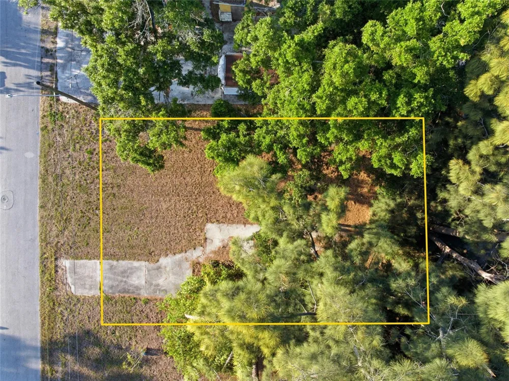 61ST LANE Pinellas Park, FL 33781