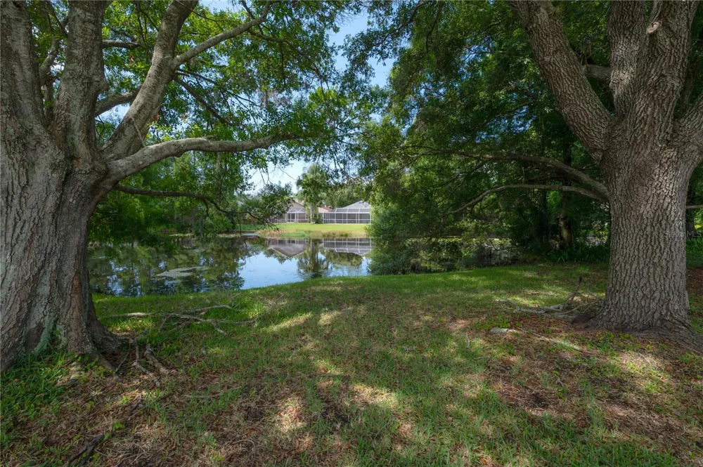 11820 EASTHAMPTON DRIVE Tampa, FL 33626