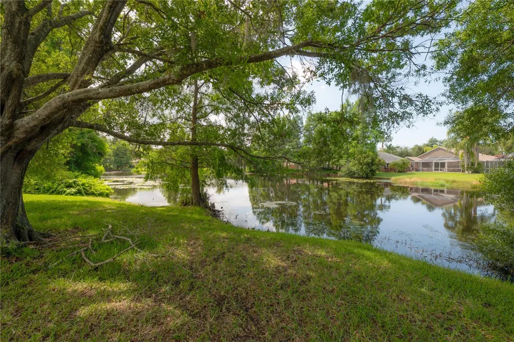 11820 EASTHAMPTON DRIVE Tampa, FL 33626