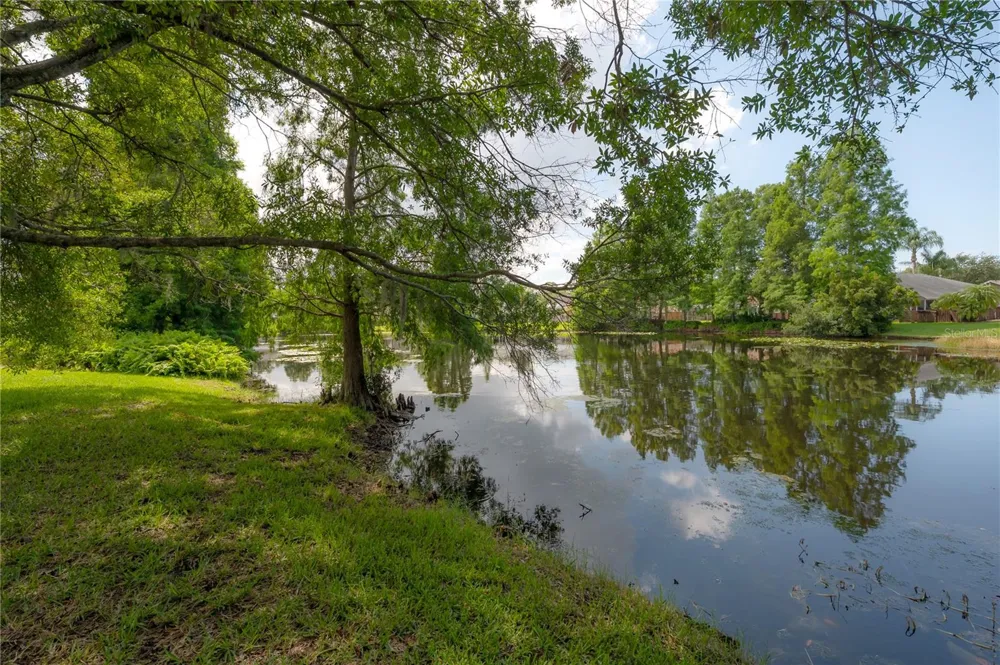 11820 EASTHAMPTON DRIVE Tampa, FL 33626