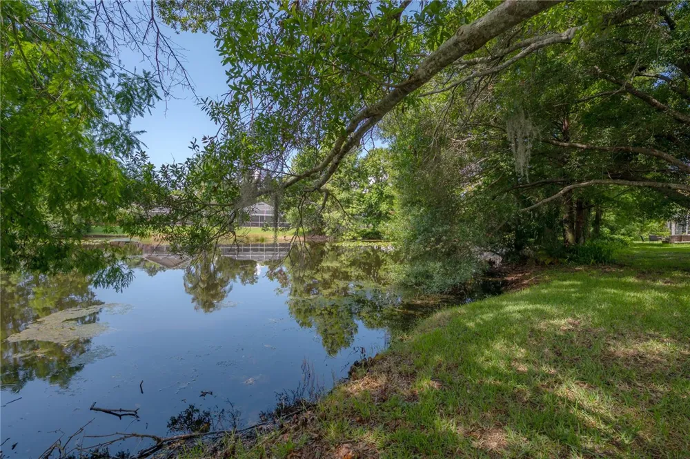 11820 EASTHAMPTON DRIVE Tampa, FL 33626