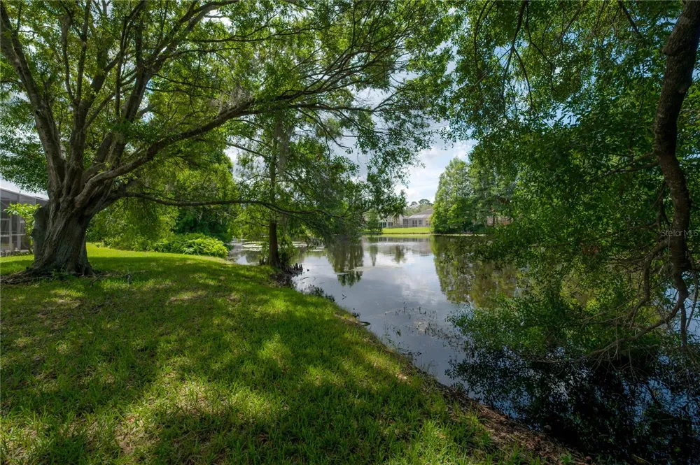 11820 EASTHAMPTON DRIVE Tampa, FL 33626