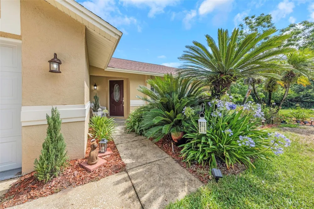 2437 HAWK AVENUE Palm Harbor, FL 34683