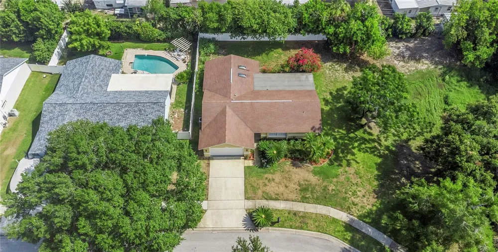 2437 HAWK AVENUE Palm Harbor, FL 34683