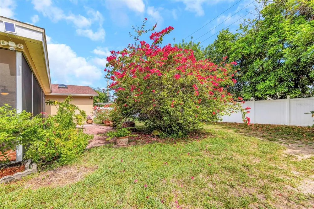 2437 HAWK AVENUE Palm Harbor, FL 34683