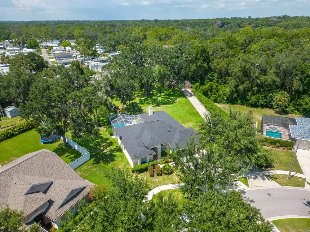 12526 RIVER BIRCH DRIVE Riverview, FL 33569