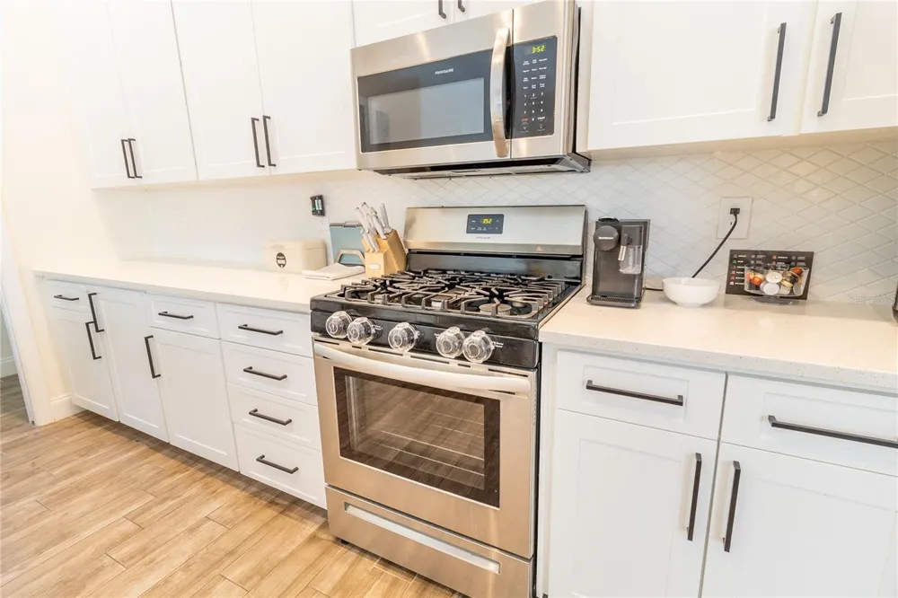 12526 RIVER BIRCH DRIVE Riverview, FL 33569