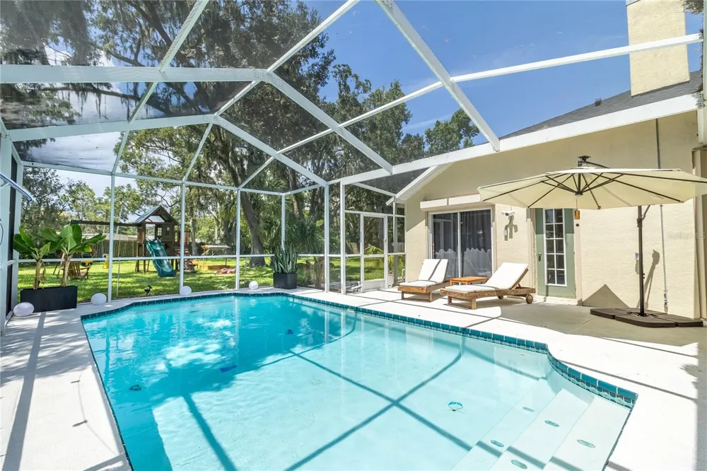 12526 RIVER BIRCH DRIVE Riverview, FL 33569