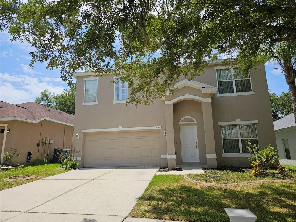 1147 EMERALD HILL WAY Valrico, FL 33594