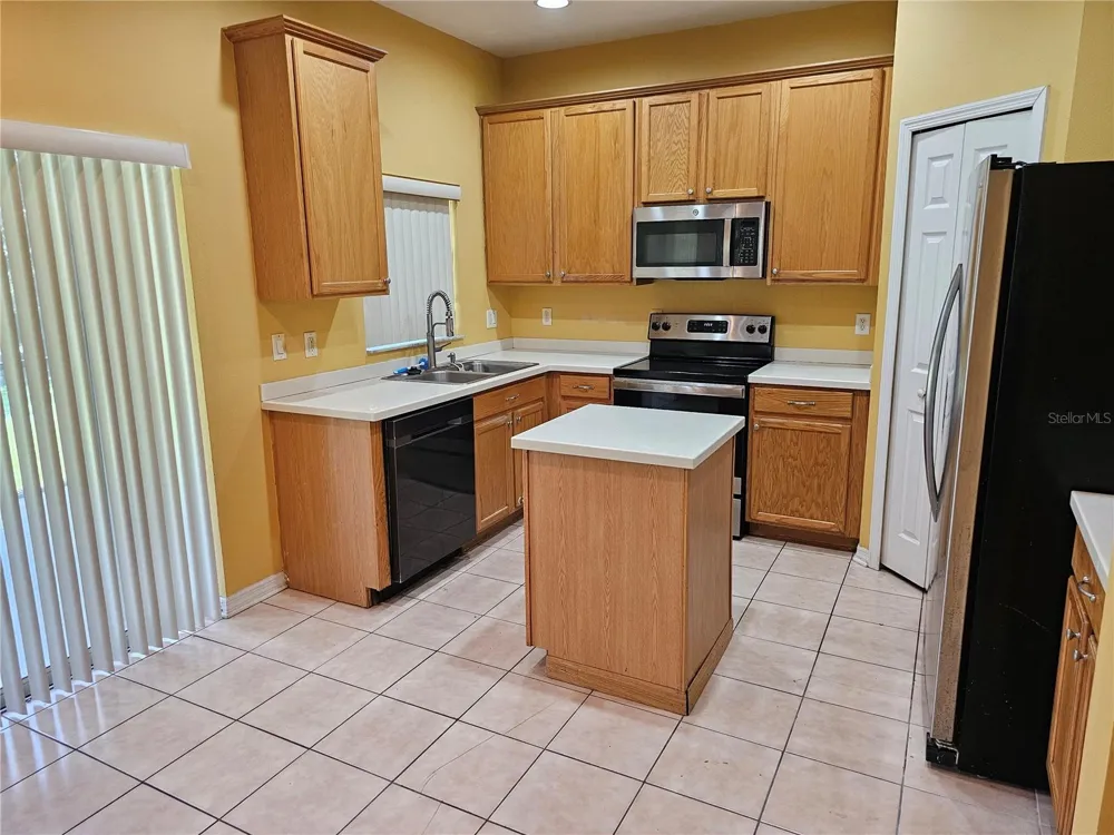 1147 EMERALD HILL WAY Valrico, FL 33594