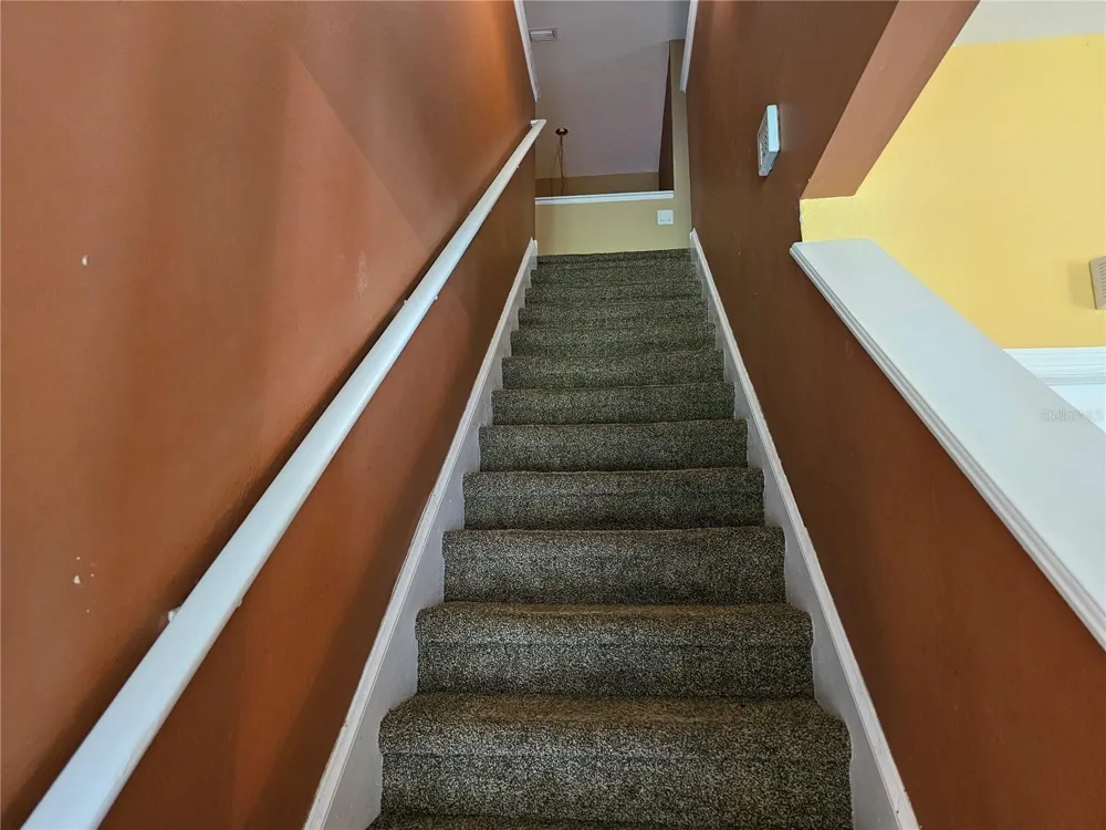 1147 EMERALD HILL WAY Valrico, FL 33594