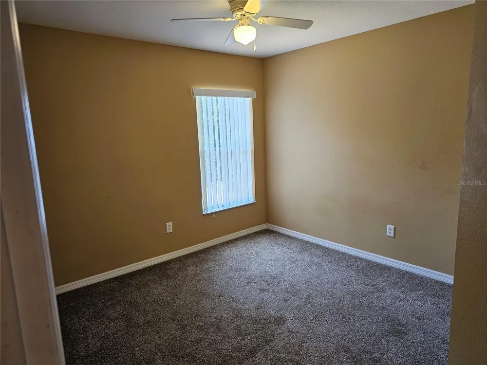 1147 EMERALD HILL WAY Valrico, FL 33594