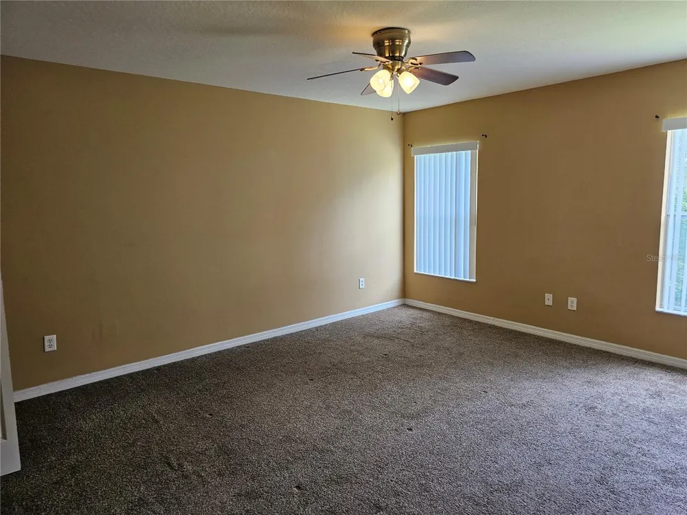 1147 EMERALD HILL WAY Valrico, FL 33594