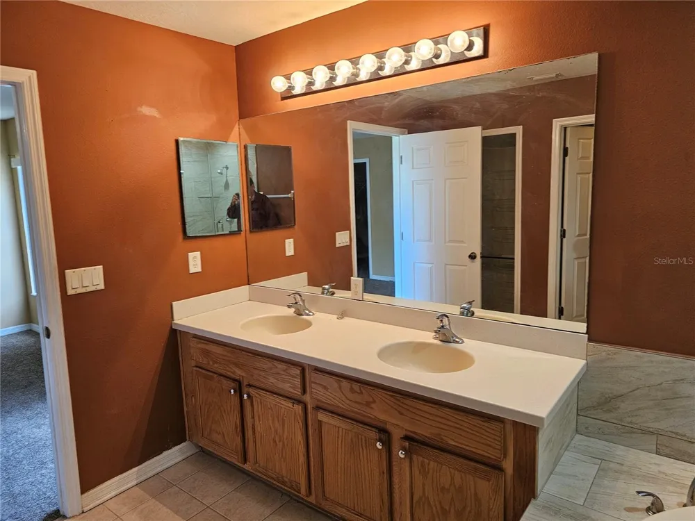 1147 EMERALD HILL WAY Valrico, FL 33594