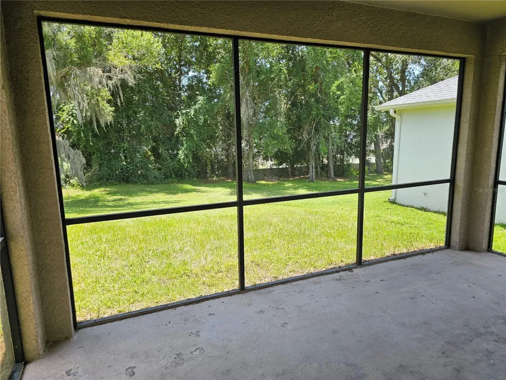 1147 EMERALD HILL WAY Valrico, FL 33594