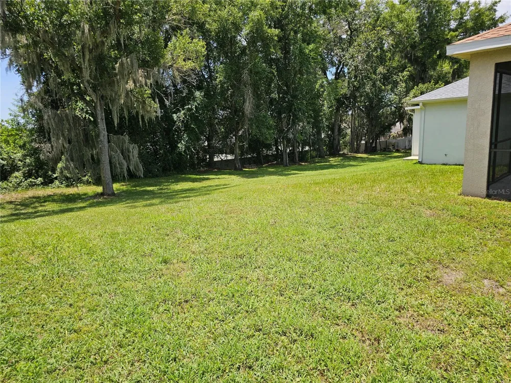 1147 EMERALD HILL WAY Valrico, FL 33594