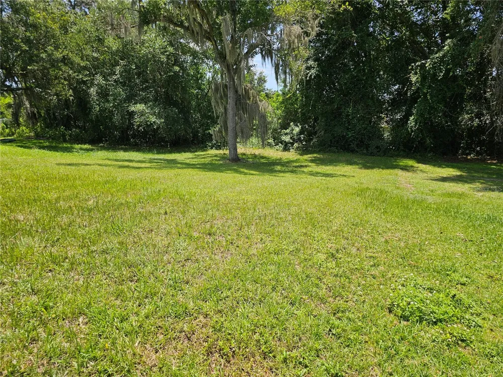 1147 EMERALD HILL WAY Valrico, FL 33594