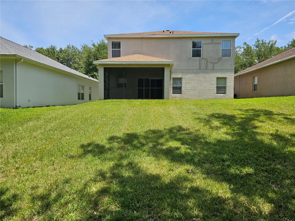 1147 EMERALD HILL WAY Valrico, FL 33594