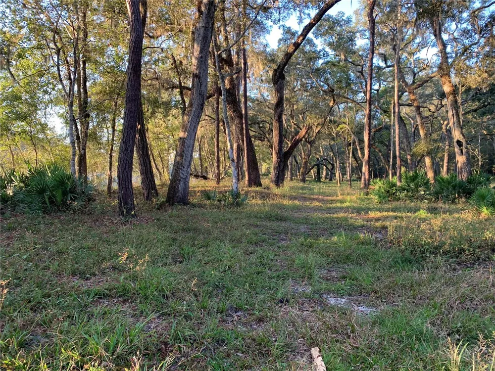 1305 NE 930TH STREET Old Town, FL 32680