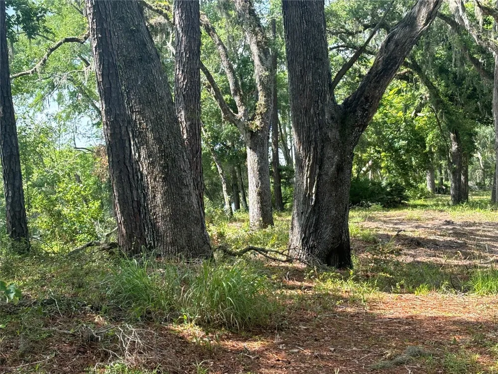 1305 NE 930TH STREET Old Town, FL 32680
