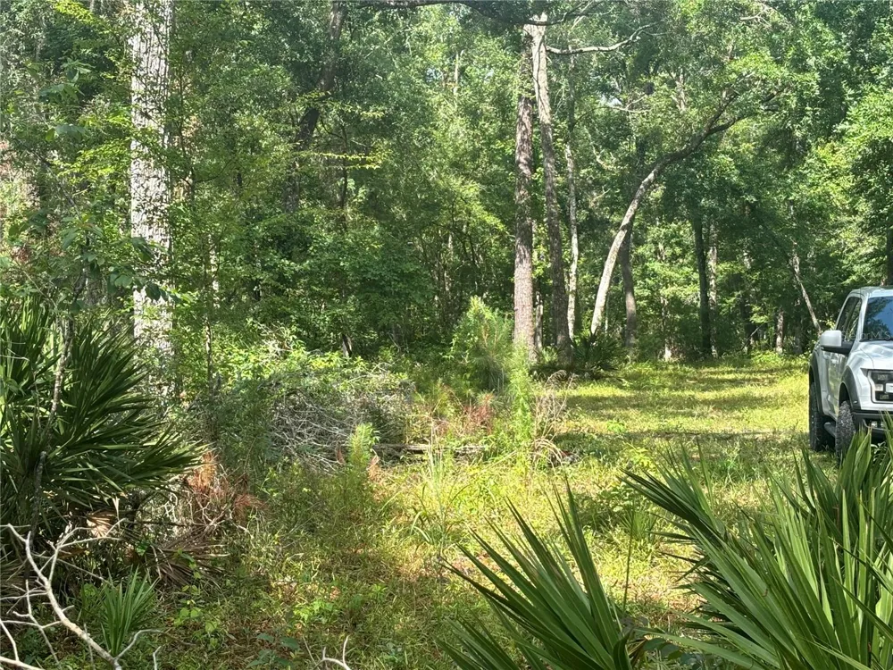 1305 NE 930TH STREET Old Town, FL 32680