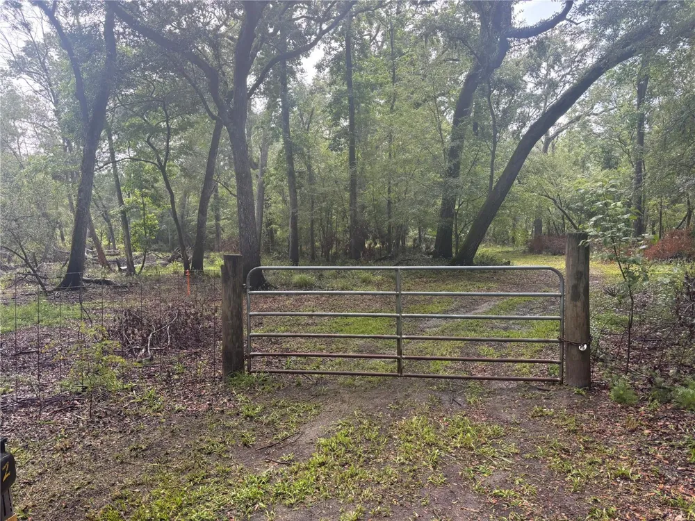1305 NE 930TH STREET Old Town, FL 32680
