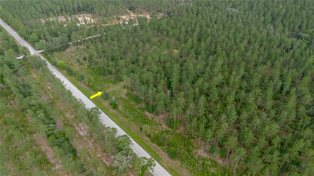 NE 90TH STREET ROAD Fort Mc Coy, FL 32134