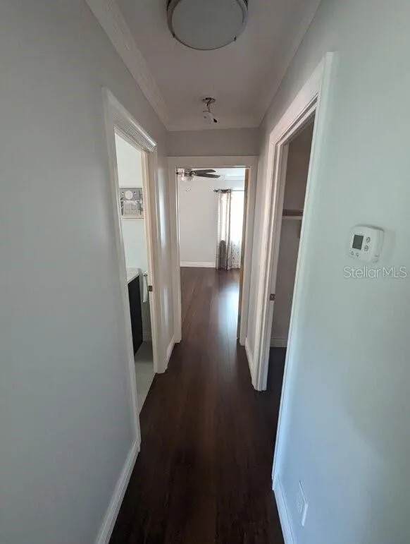 1602 AMBERLEA DRIVE S Dunedin, FL 34698