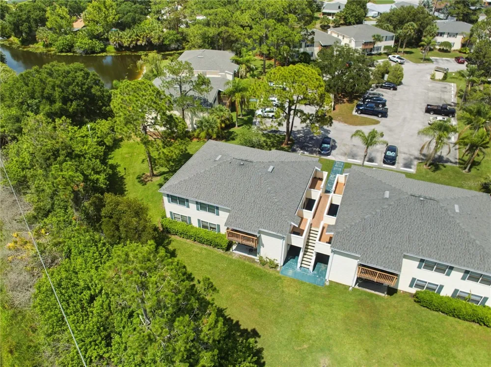 123 LOBLOLLY COURT #B Oldsmar, FL 34677