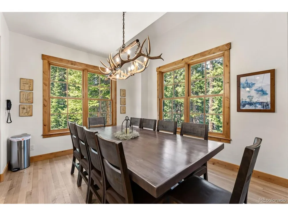50 Cooney Court Blue River, CO 80424