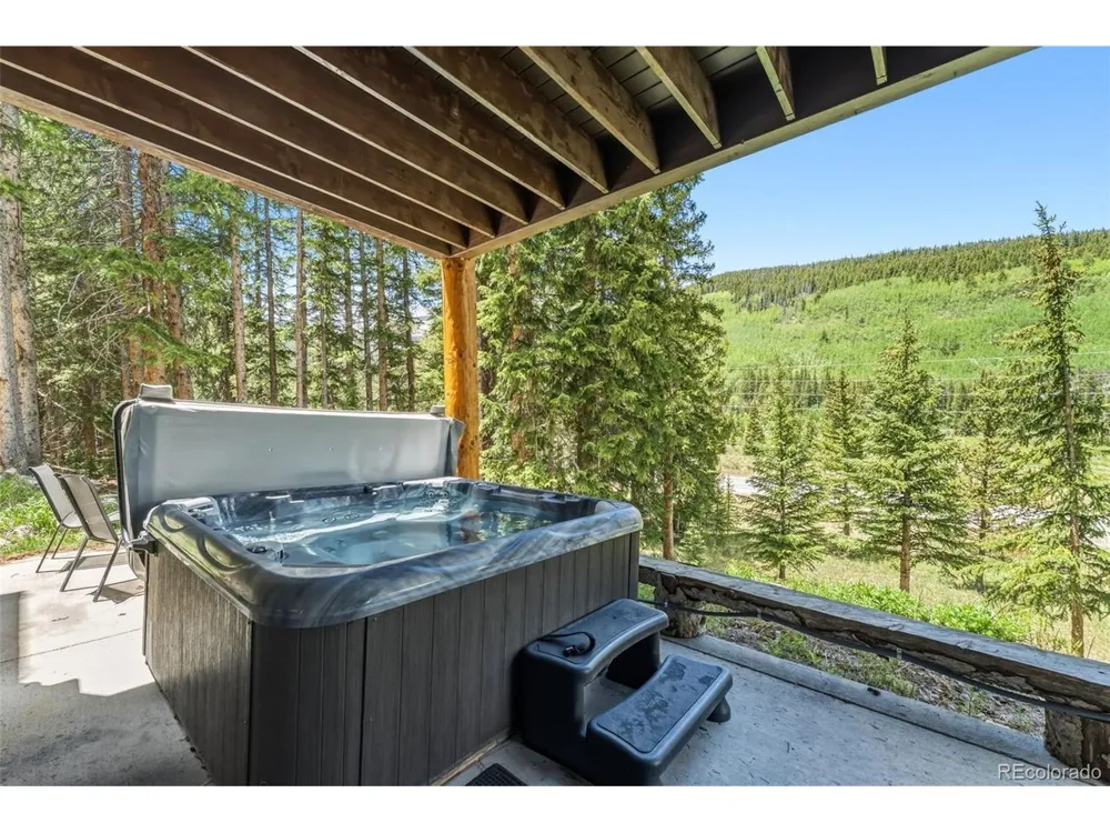 50 Cooney Court Blue River, CO 80424