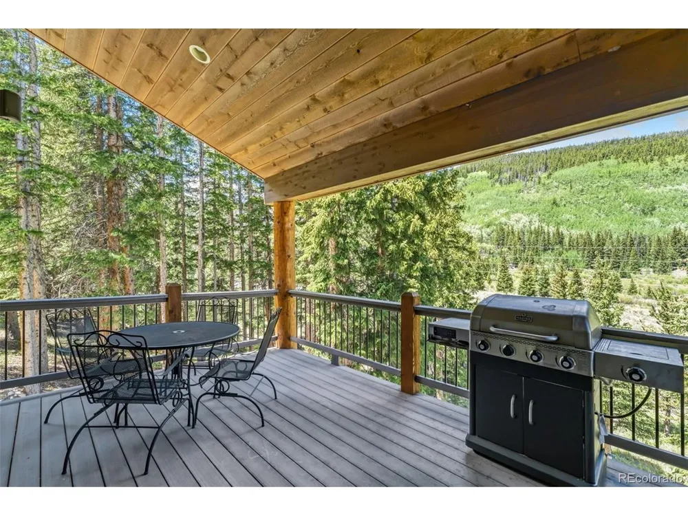 50 Cooney Court Blue River, CO 80424