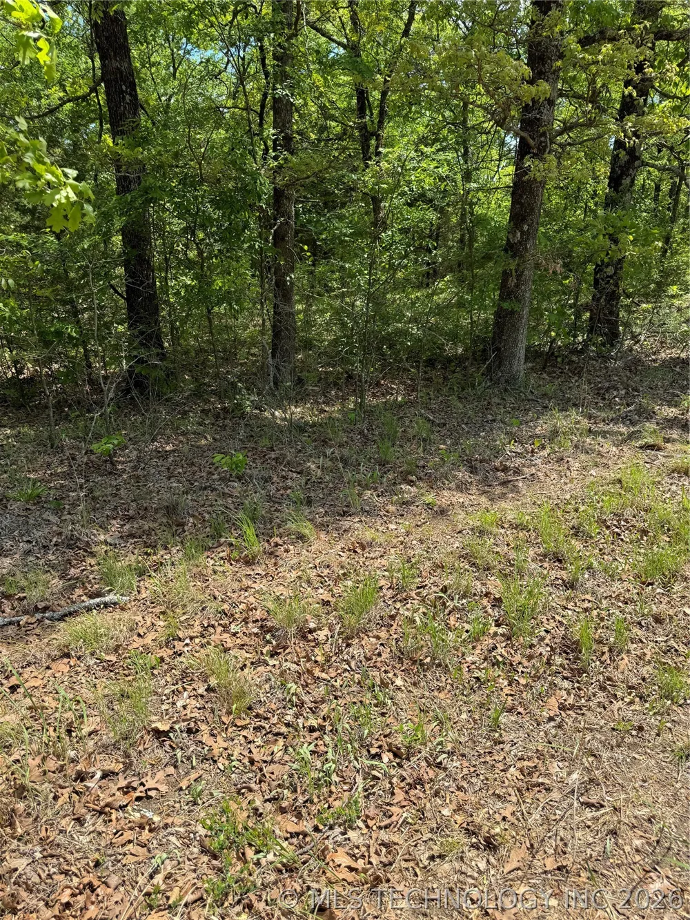6 S 4532 ROAD Vian, OK 74962