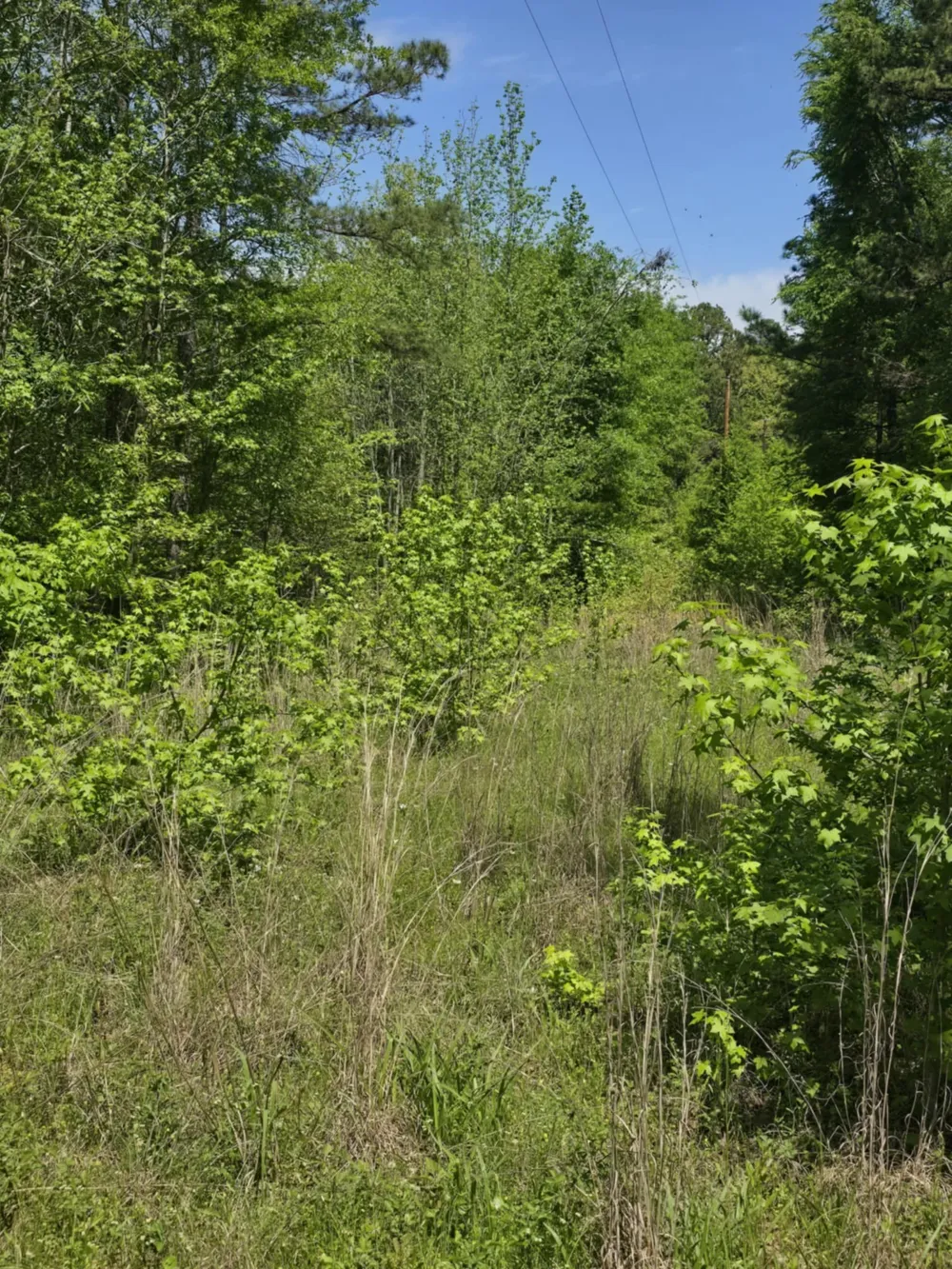 County Road 421 Tyler, TX 75704