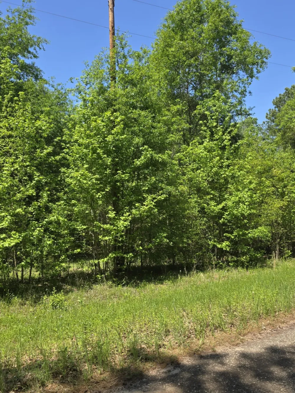 County Road 421 Tyler, TX 75704