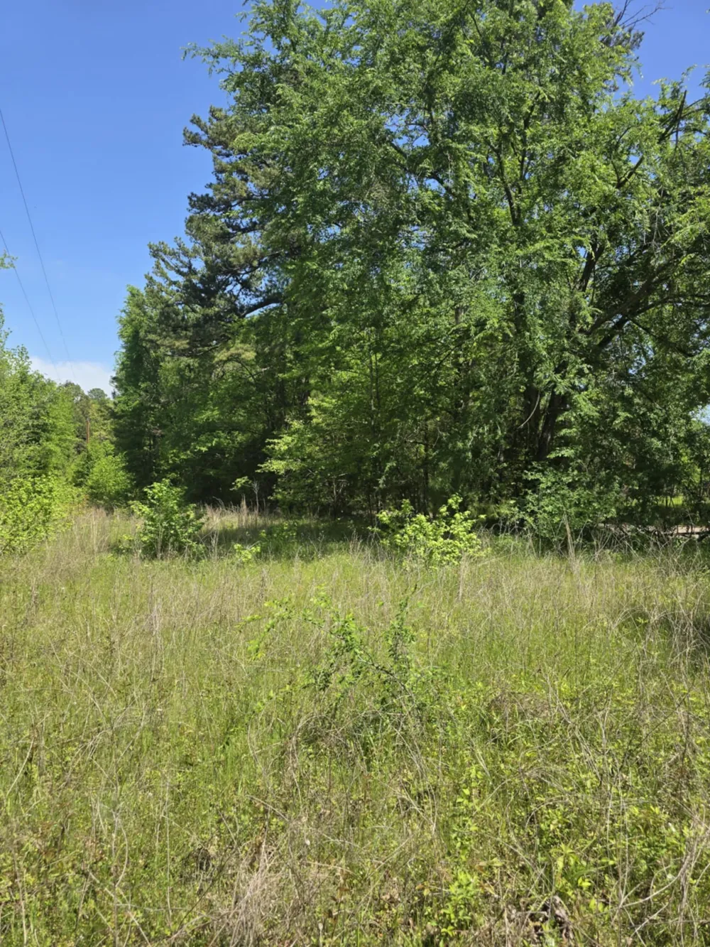 County Road 421 Tyler, TX 75704